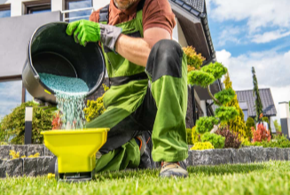 The Essential Guide to Lawn Fertilizer: Nurturing Your Green Space