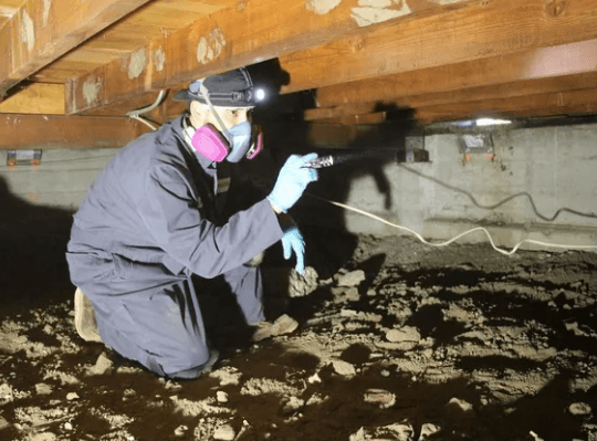 The Silent Threat: Protecting Your Home from Crawl Space Contaminants