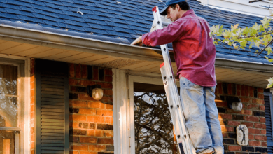 Gutter Cleaning Services