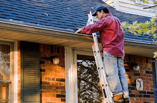 Gutter Cleaning Services