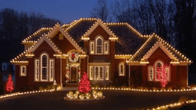 Christmas Light Installation