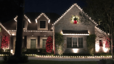 Christmas Light Installation