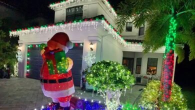 Transform Your Holiday Decor with Elf Bros Christmas Lighting in Fort Myers FL: Expert Christmas Light Hanging Services Near Me