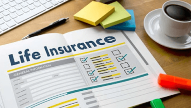 Insurance