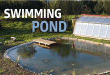 Swimming Pond
