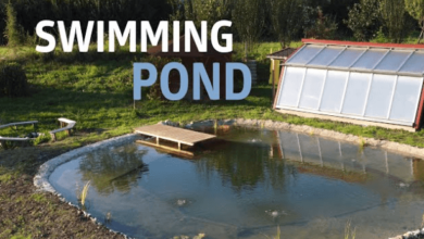 Swimming Pond