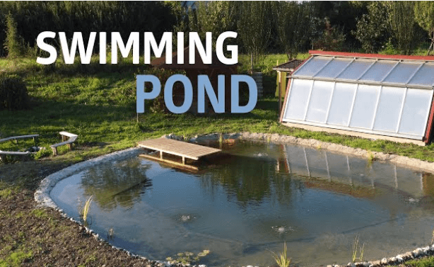 Swimming Pond